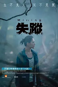 Постер к фильму «Пропавший (2019)»