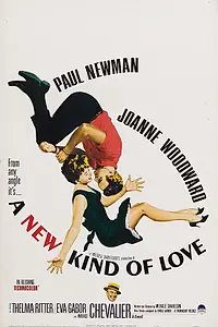 Постер к фильму «Новый вид любви (1963)»