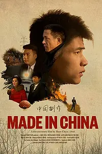 Постер к фильму «Сделано в Китае (2017)»