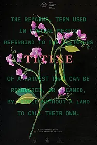 Постер к фильму «Titixe (2018)»