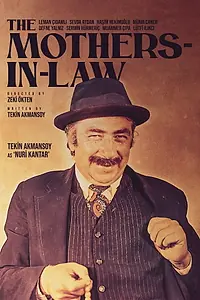 Главный постер фильма «Nöri gantar ailesi (1975)»