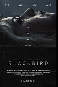 Главный постер фильма «Blackbird (2020)»