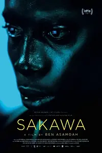 Постер к фильму «Сакава (2018)»