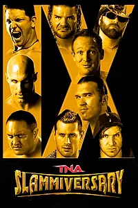 Главный постер фильма «TNA Сламмиверсари 9 (2011)»