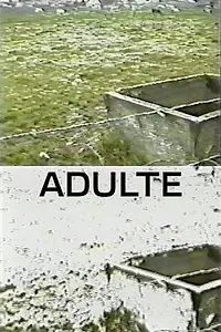 Главный постер фильма «Adulte (1998)»