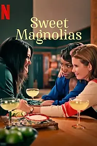 Главный постер сериала «Милые магнолии (2020)»
