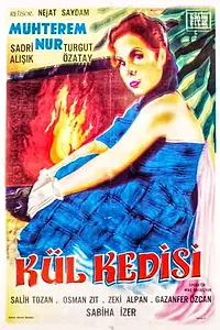 Главный постер фильма «Kül kedisi (1961)»