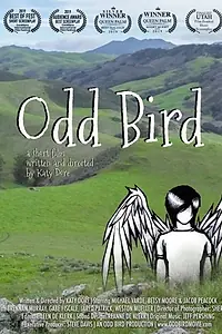 Постер к фильму «Odd Bird (2019)»