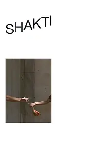 Постер к фильму «Shakti (2019)»
