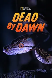 Постер к сериалу «Dead by Dawn (2019)»