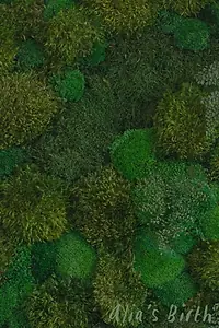 Постер к фильму «Alia's Birth (2021)»
