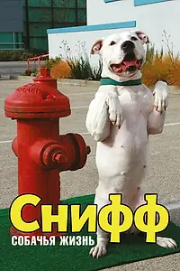 Главный постер фильма «Снифф: Собачья жизнь (2009)»