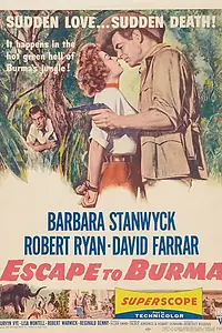 Главный постер фильма «Побег в Бирме (1955)»