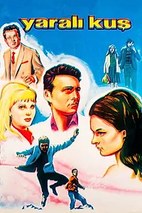 Главный постер фильма «Yarali kus (1967)»