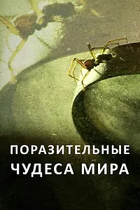 Главный постер сериала «Поразительные чудеса мира (2015)»