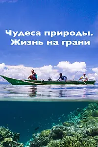 Постер к сериалу «Чудеса природы. Жизнь на грани (2015 - 2018)»