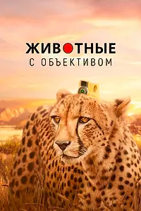 Постер к сериалу «Животные с объективом (2018)»