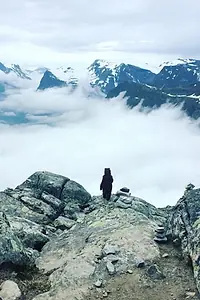 Постер к фильму «The Bear (2018)»
