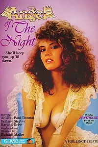 Постер к фильму «Angel of the Night (1985)»