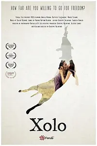 Постер к фильму «Xolo (2017)»