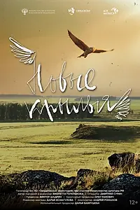 Главный постер фильма «Новые крылья»