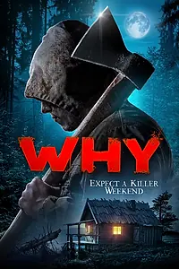 Постер к фильму «За что? (2019)»