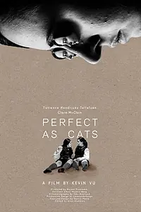 Главный постер фильма «Perfect as Cats (2020)»