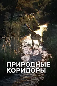 Главный постер сериала «Природные коридоры (2023)»