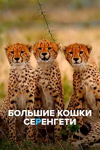 Главный постер фильма «Большие кошки Серенгети (2019)»
