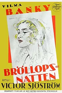 Постер к фильму «Дама, которую стоит любить (1930)»