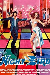 Главный постер фильма «The Night Bird (1977)»