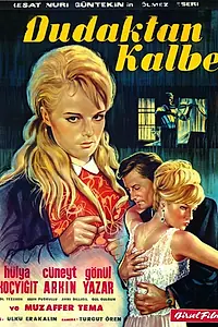 Постер к фильму «Симфония любви (1965)»