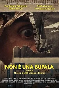 Постер к фильму «Non è una bufala (2018)»