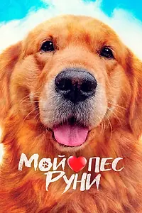 Главный постер фильма «Мой пёс Руни (2023)»