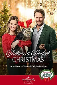 Главный постер фильма «Образ идеального Рождества (2019)»