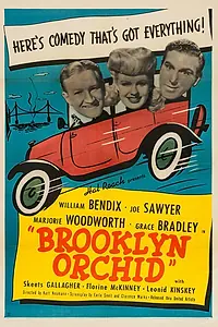 Главный постер фильма «Brooklyn Orchid (1942)»