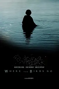 Главный постер фильма «Where the birds go (2019)»