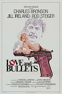 Главный постер фильма «Последняя пуля (1978)»