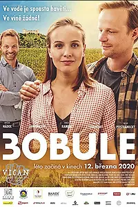 Постер к фильму «3Bobule (2020)»