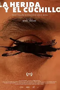 Постер к фильму «La herida y el cuchillo (Notas para un film sobre Emilio García Wehbi) (2019)»