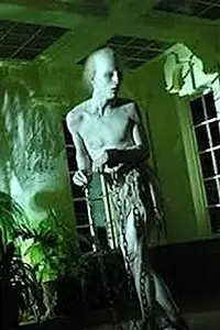 Главный постер фильма «Ataúdes de luz (2002)»