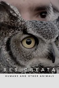 Постер к фильму «Res Creata (2019)»