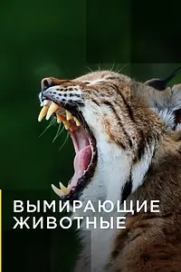 Постер к сериалу «Вымирающие животные (2016)»