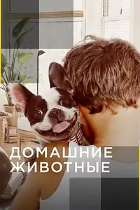 Постер к сериалу «Домашние животные (2012)»