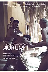 Постер к фильму «Aurum II»