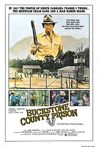 Постер к фильму «Сибо (1978)»