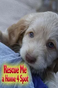 Главный постер фильма «Rescue Me: A Home 4 Spot (2019)»
