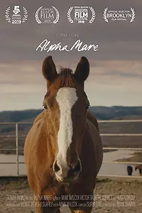 Постер к фильму «Alpha Mare (2019)»