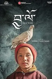 Постер к фильму «Год птицы (2016)»