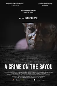 Постер к фильму «A Crime on the Bayou (2020)»